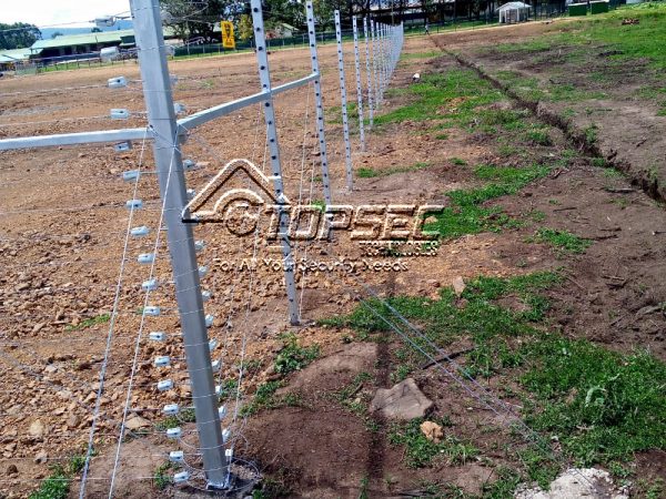 Agricultural electric fencing
