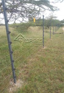 Electric fencing for wildlife