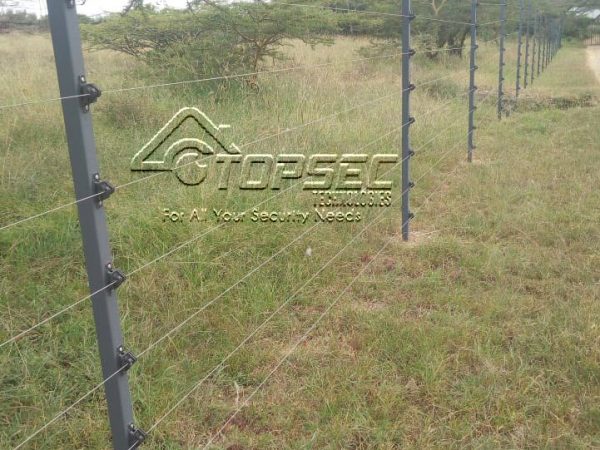 Electric fencing for wildlife